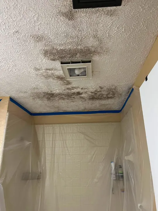 Bathroom ceiling stained by moisture and mold above the shower
