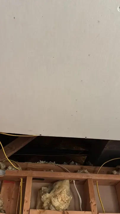 Water Damage Drywall Repair — Ceiling opened after water damage, exposing wet insulation and framing